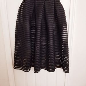 Black Stripped Mesh/Net Skirt